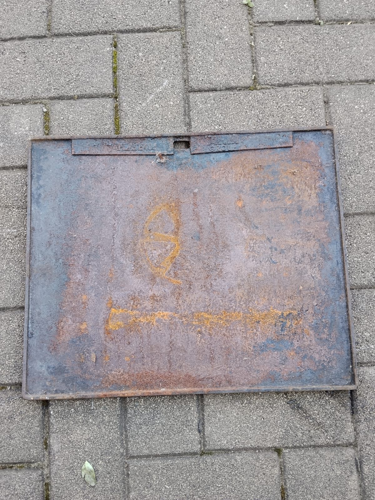 Cast iron plate before cleaning